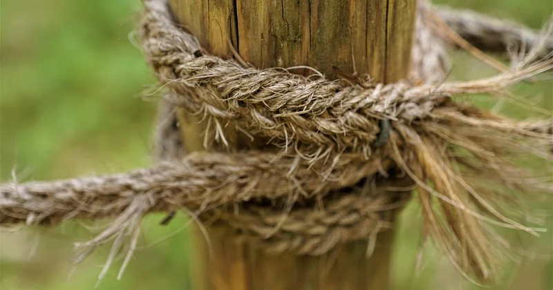 How to find broken links without wasting your afternoon